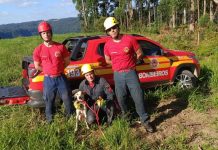 Bombeiros fazem rapel para resgatar cão que caiu em cânion no Alto Vale