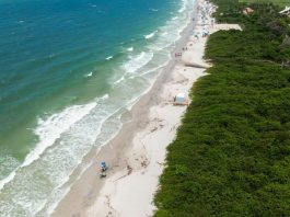 Confira quais praias da região de Joinville estão próprias para banho neste fim de ano