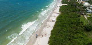 Confira quais praias da região de Joinville estão próprias para banho neste fim de ano