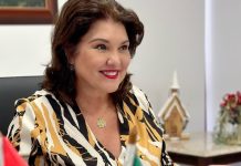 Vice-governadora participa de evento em Joinville sobre violência sexual contra mulheres