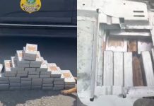 VÍDEO – Após perseguição, homem é preso com mais de 50kg de cocaína em Garuva