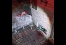 Homem é baleado no Vale do Itajaí