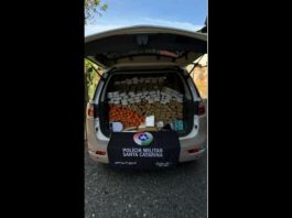 PM apreende 265 quilos de maconha em Joinville