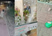 VÍDEO – Em três dias, floricultura é alvo de dois ataques de pedras no centro de Joinville
