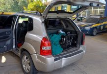 VÍDEO – Homem que levava 250 kg de maconha para Joinville tenta fugir, mas acaba preso pela PRF