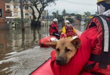 GALERIA – Bombeiros de SC já resgataram mais de 3,5 mil vítimas no Rio Grande do Sul