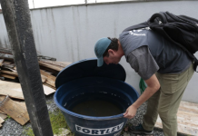 Com mais de mil casos no ano, Joinville faz último mutirão contra a dengue em 2025