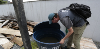 Com mais de mil casos no ano, Joinville faz último mutirão contra a dengue em 2025