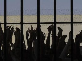 Deputada catarinense desengaveta projeto que prevê plebiscito para reduzir maioridade penal