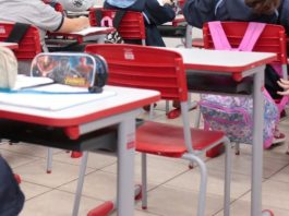 Vereador propõe proibir músicas com apologia ao crime, drogas e sexo em escolas de Joinville