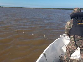 Mais de 10 redes de pesca irregulares são apreendidas pela Polícia Ambiental em Araquari e Barra Velha