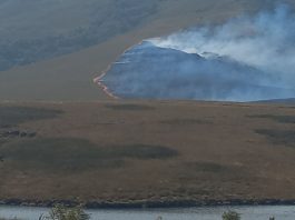 GALERIA – Incêndio nos Campos do Quiriri, em Garuva, mobiliza bombeiros