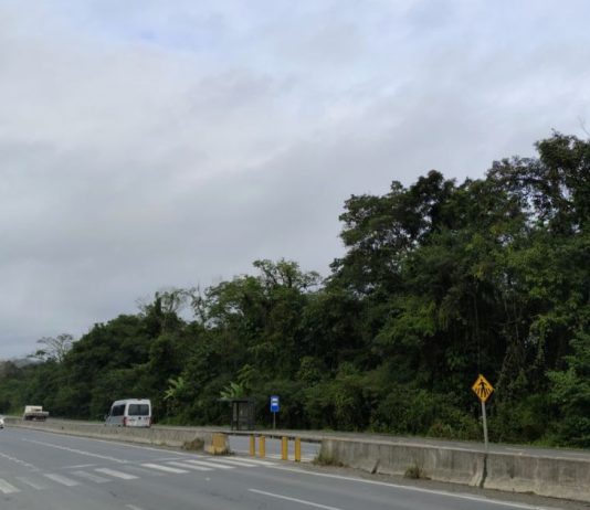 Prefeitura define área onde deve ser construído novo ginásio esportivo de Joinville