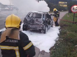 Carro pega fogo na BR-101, em Araquari, e fica completamente destruído