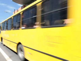 Eleições 2024: o que os candidatos a prefeito de Joinville pensam sobre o transporte coletivo