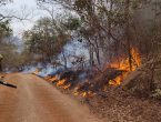 Veja detalhes da atuação dos bombeiros catarinenses no combate aos incêndios no Mato Grosso