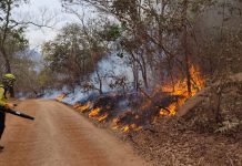 Veja detalhes da atuação dos bombeiros catarinenses no combate aos incêndios no Mato Grosso