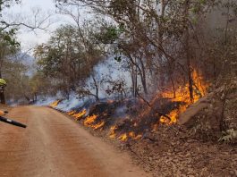 Veja detalhes da atuação dos bombeiros catarinenses no combate aos incêndios no Mato Grosso