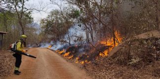 Veja detalhes da atuação dos bombeiros catarinenses no combate aos incêndios no Mato Grosso