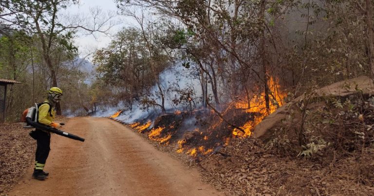 Veja detalhes da atuação dos bombeiros catarinenses no combate aos incêndios no Mato Grosso