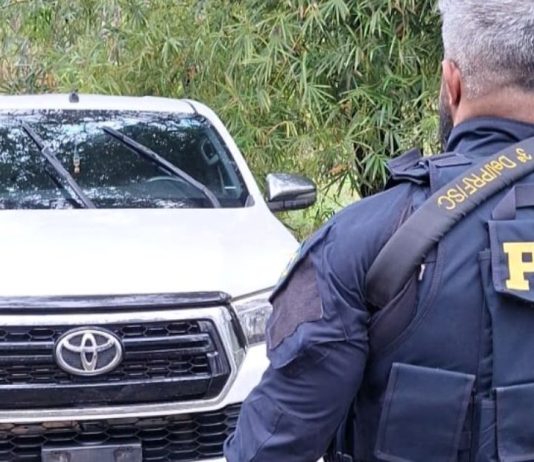 Polícia recupera picape furtada às margens da BR-101, em Joinville