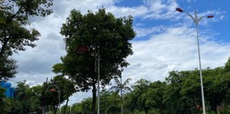 Defesa Civil monitora proximidade de ciclone extratropical que pode atingir Joinville com ventos de até 80 km/h