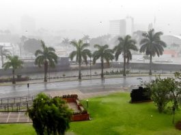 Temporal Joinville