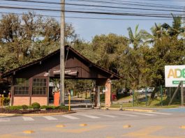 Tradicional associação de Joinville comemora 50 anos com corrida de rua