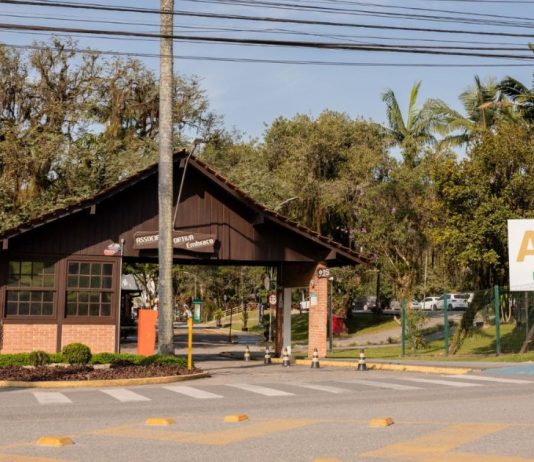 Tradicional associação de Joinville comemora 50 anos com corrida de rua