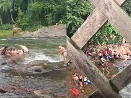 VÍDEO – Policial resgata mulher arrastada pela correnteza no rio Cubatão, em Joinville
