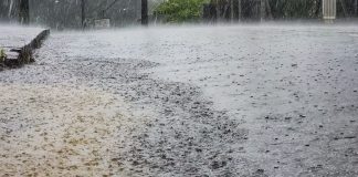temporais
