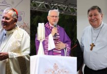 Saiba quem são os cardeais catarinenses que poderão participar do conclave para escolha de um novo Papa