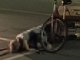 Idosa é morta a tiros no Aventureiro, em Joinville