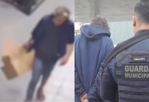 Homem suspeito de praticar zoofilia em Joinville é solto após decisão da Justiça