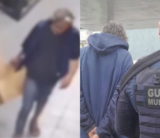 Homem suspeito de praticar zoofilia em Joinville é solto após decisão da Justiça