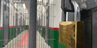 organização criminosa