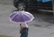 Semana em Joinville inicia com sol, mas deve ser chuvosa