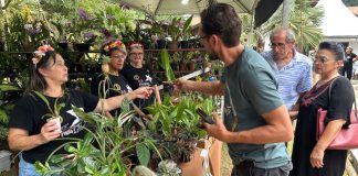 Festival das Flores da Primavera inicia nesta sexta-feira em Joinville; veja atrações