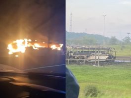 VÍDEO - Ônibus da equipe Joinville Natação é destruído por incêndio na BR-101