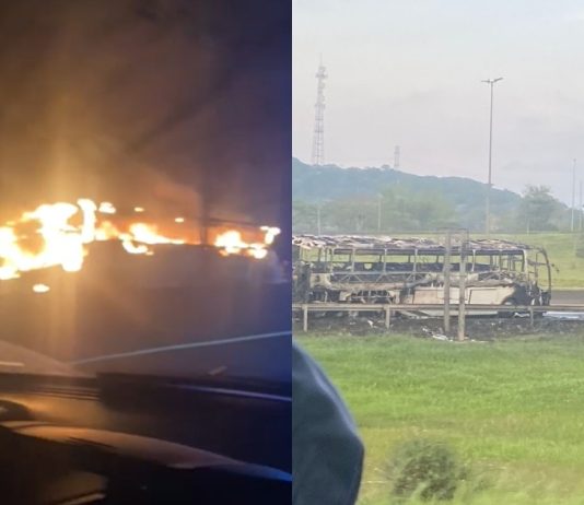 VÍDEO - Ônibus da equipe Joinville Natação é destruído por incêndio na BR-101