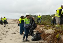 Empresa da Bélgica realiza ação de limpeza em praia de Itapoá