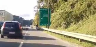 VÍDEO – Mulher em moto morre em grave acidente com caminhão na BR-101, em Joinville