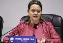 Joinville pode ser autorizado a apoiar festas tradicionais com estrutura e serviços