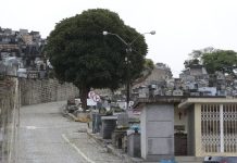 Finados: prefeitura orienta sobre visitação aos cemitérios municipais de Joinville