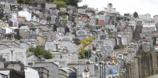Cemitérios de Joinville estão abertos para limpeza e manutenção para Finados