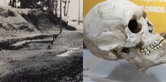 VÍDEO – E-book Origens de Joinville narra a história da cidade contada pelos seus muitos povos