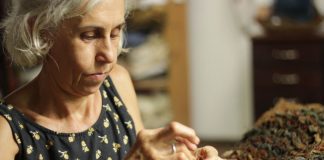 Joinville recebe Festival de Cultura Ambiental, com programação gratuita de 12 horas