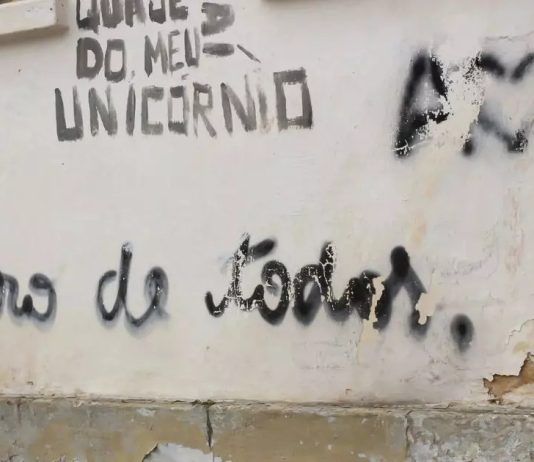 Projeto de lei propõe recompensa para quem denunciar pichação em Joinville Joinville