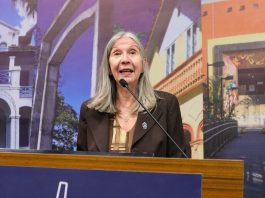 Tânia Larson assume presidência da Câmara de Joinville de forma interina