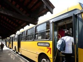 Vereadora apresenta recurso contra rejeição da gratuidade no transporte público para candidatos ao Enem, em Joinville